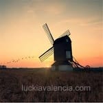 Avatar de Adrián Rosas